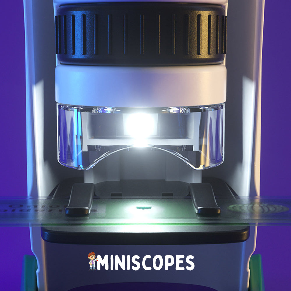 Zoomify | Das Miniskop