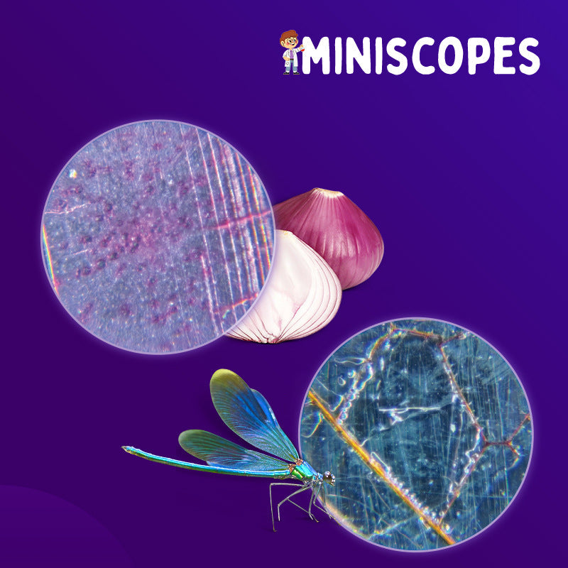 Zoomify | Das Miniskop