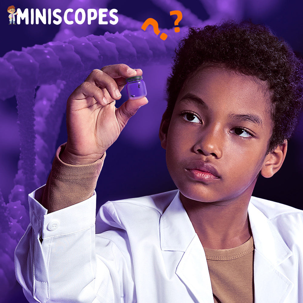 Zoomify | Das Miniskop