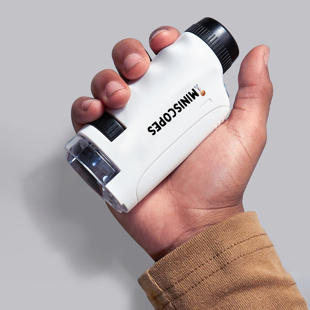 Zoomify | Das Miniskop